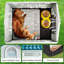 Niche pour chien en plastique avec porte Faunie, imperméable, plancher surélevé, facile à assembler-222328037
