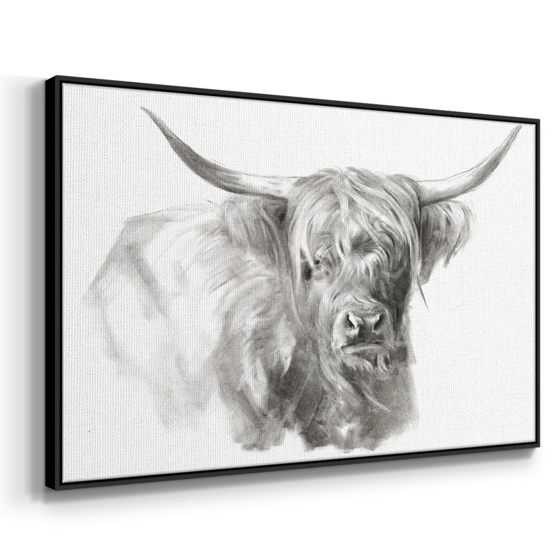 "Soft Focus Highland Catt I", reproduction d'art sur toile, H 27 po x l 41 po x P 2 po, Noir