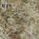 Premium Machine Washable Prisco Beige Rug