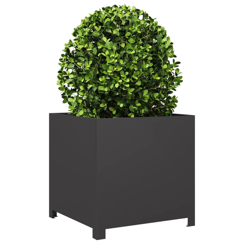 Ashvini Planter Box, 19.69" H x 19.69" W x 19.69" D, Black