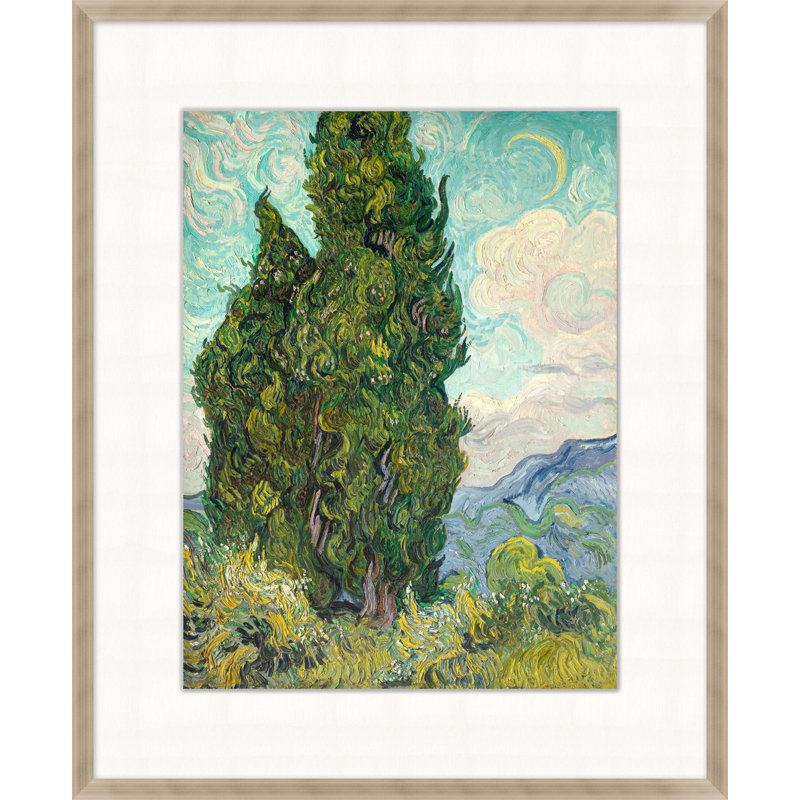 Cypress Print