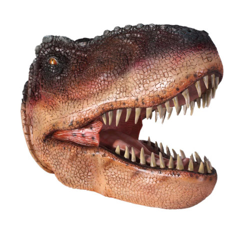 Jiazuo T-Rex Dinosaur Head Medium Life Size Statue