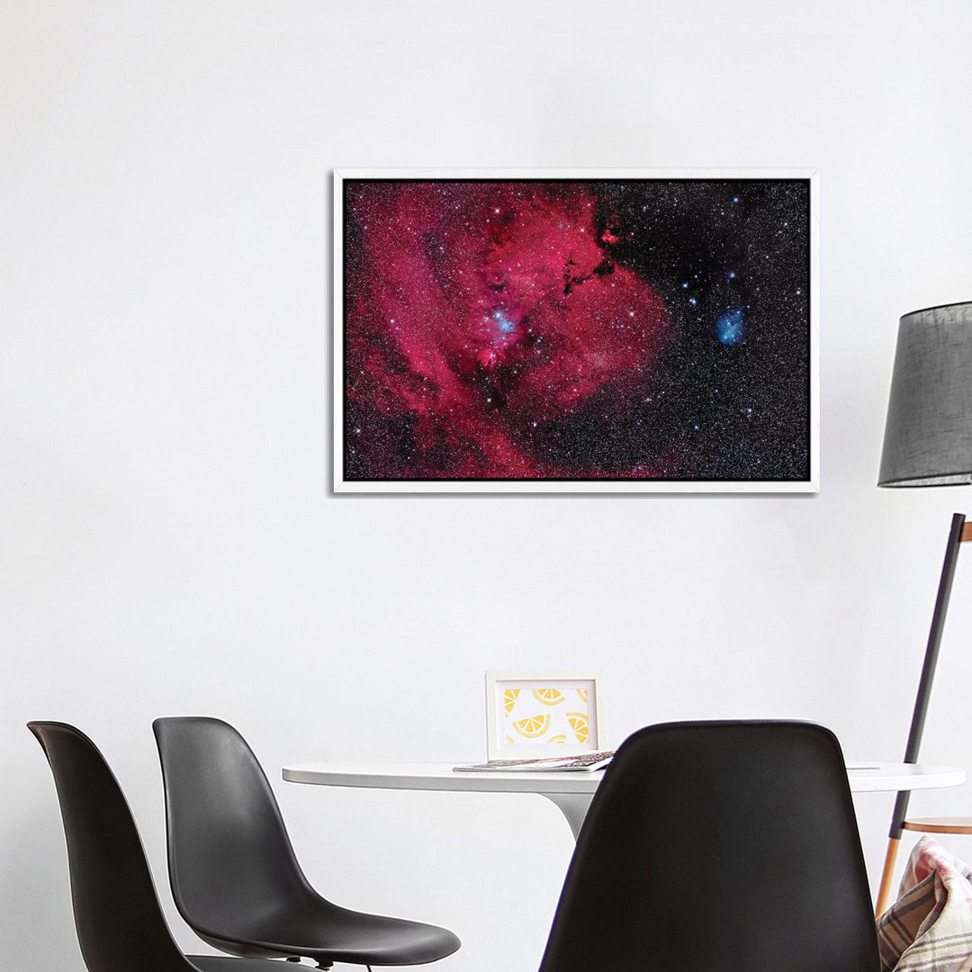 The Cone Nebula And Christmas Tree Cluster In Monoceros. von Alan Dyer - Galerie-umwickelte Leinwand Giclée auf Leinwand