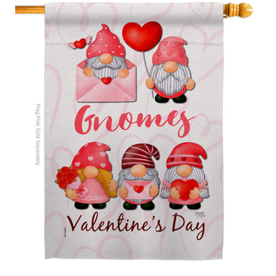 Drapeau de maison en polyester 40 x 28 po Avo