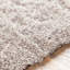 Grizzly Area Rug in Gray-1387724077-1471746906