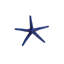 Large Starfish-54880805