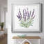 Lavande botanique II - peinture encadrée-481411737-481411729