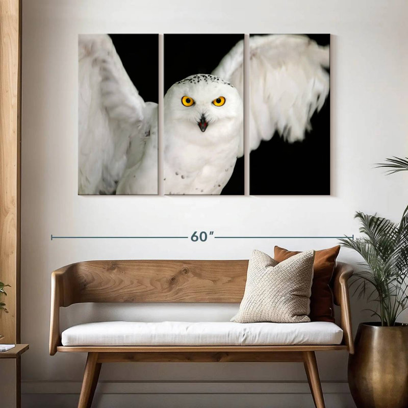 White Owl, 32" H x 50" W