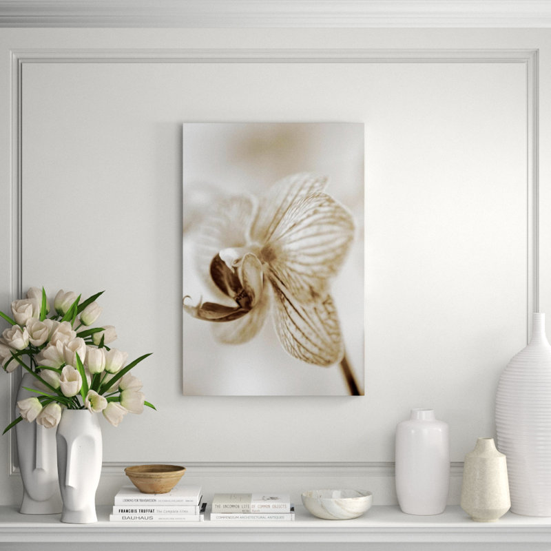 Sepia Floral Print by Chelsea Art Studio, 45" H x 30" W x 1.5" D, Matte