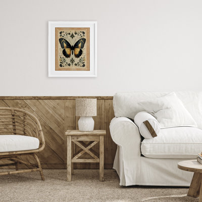 Vintage Butterfly Botanical Illustration Framed Print Under Glass, design by Arlington Prints
