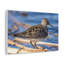 No Frame Print on Canvas-265247157