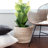 Galen Upholstered Barrel Chair