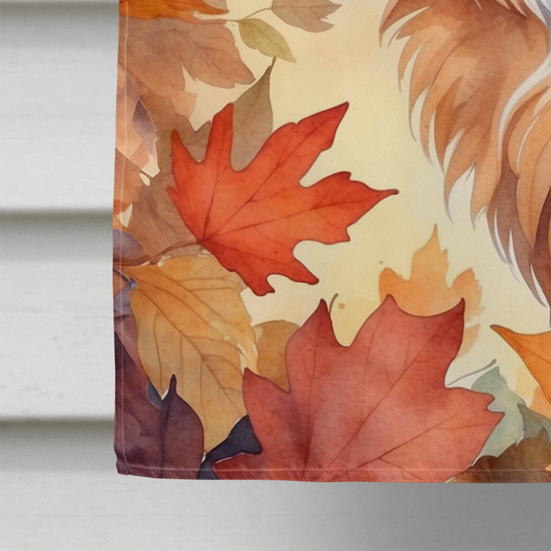 Chat en feuilles d'automne, Somali