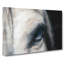 Eye Of A White Horse In Abstract - Wrapped Canvas Print-55314961