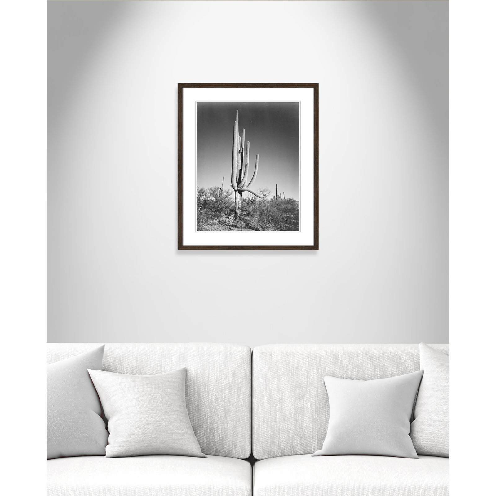 Cactus In Saguaro National Monument In Arizona by Ansel Adams, Walnut, 25.5" H x 21.5" W x 0.75" D