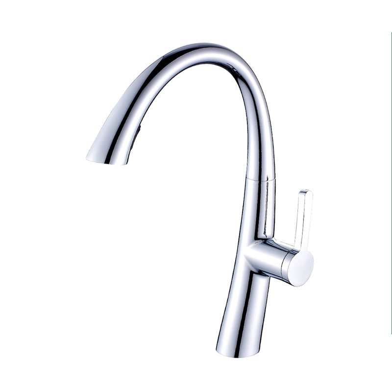 Robinet de cuisine commercial avec douchette extractible, robinet d'évier de cuisine à poignée simple
