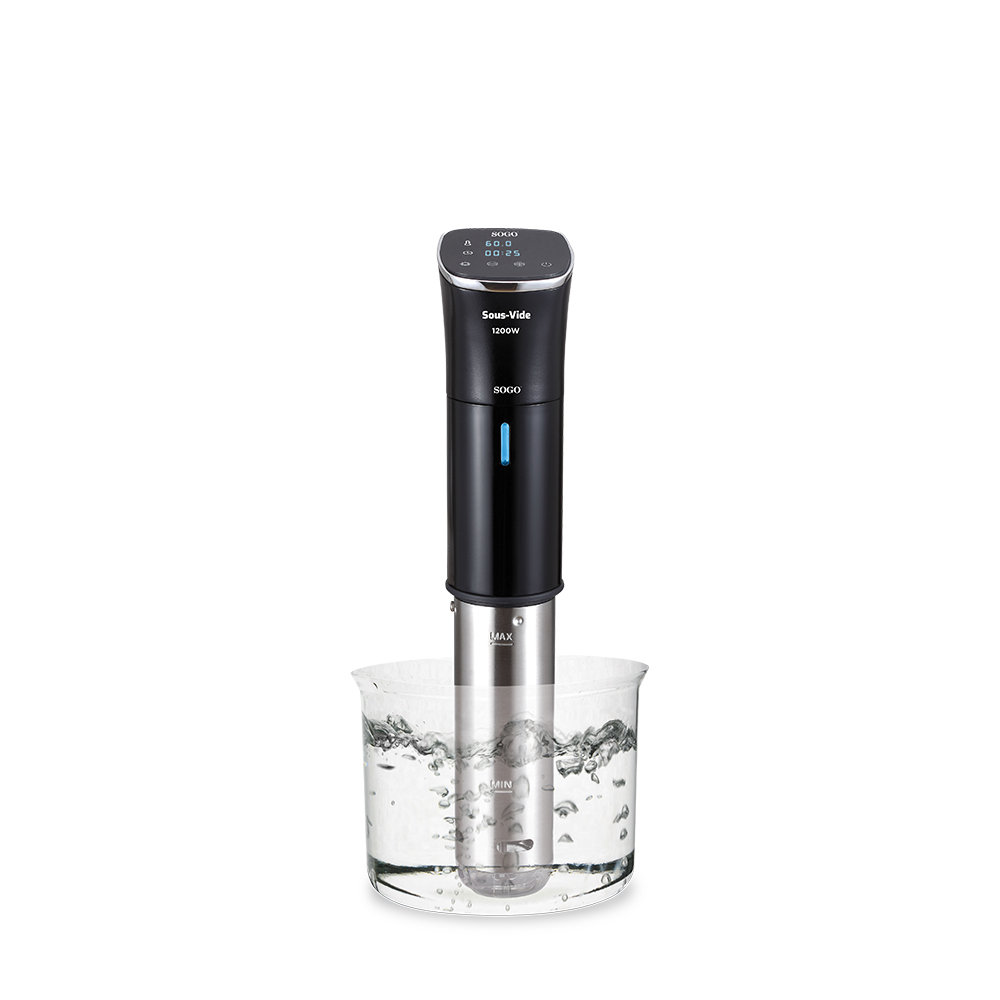 Sous Vide Slow Cooker