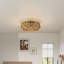 Ceiling Fan with Light Kit