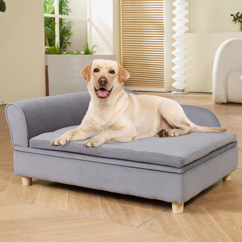 Tucker Murphy Pet™ Pet Sofa, Dog Couch for Medium-Sized Dogs and Cats, Soft Velvety Dog Sofa Bed, H 16 po x l 36 po x P 23 po