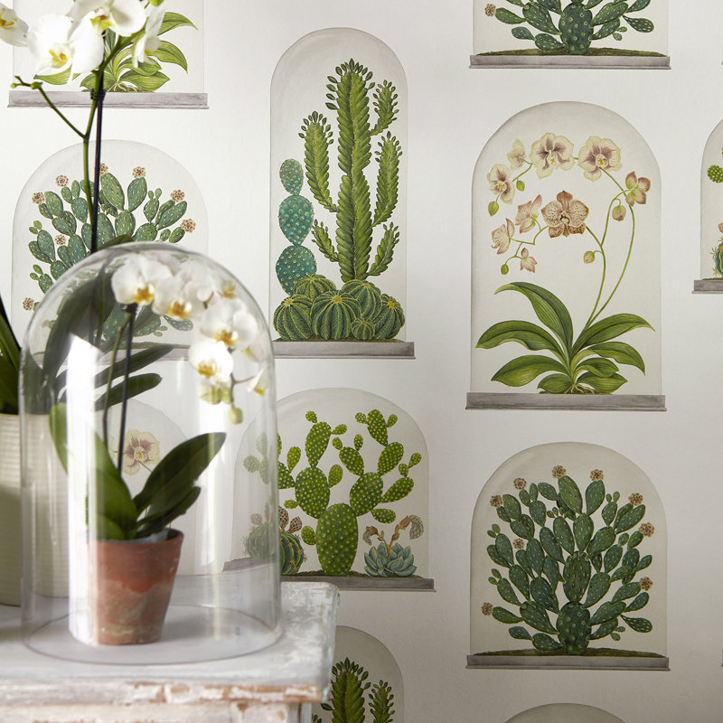 Terrariums Wallpaper, Botanical Green/Multi