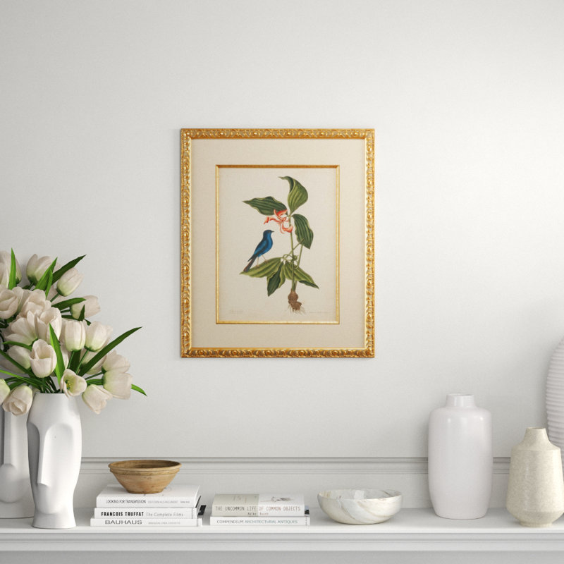 Catesby Bird And Botanical IV Print