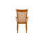 Sarah Upholstered Arm Chair-20804144-20804156