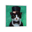 « tuxedo cat » par lucie heffernan-reproduction de photo-49902398-53128217