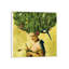 Safe Haven by Diogo Verissimo - Print on Canvas-1789971005-1798010965