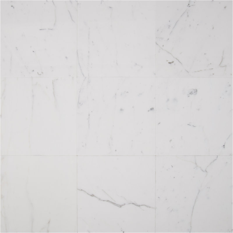 Calacatta Gold 12 in. x 12 in. Polished Marble Floor and Wall Tile