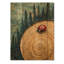 «Ladybug At The Forest On Slide III» - Art mural en bois de coccinelle - sur bois de pin naturel-1584146998