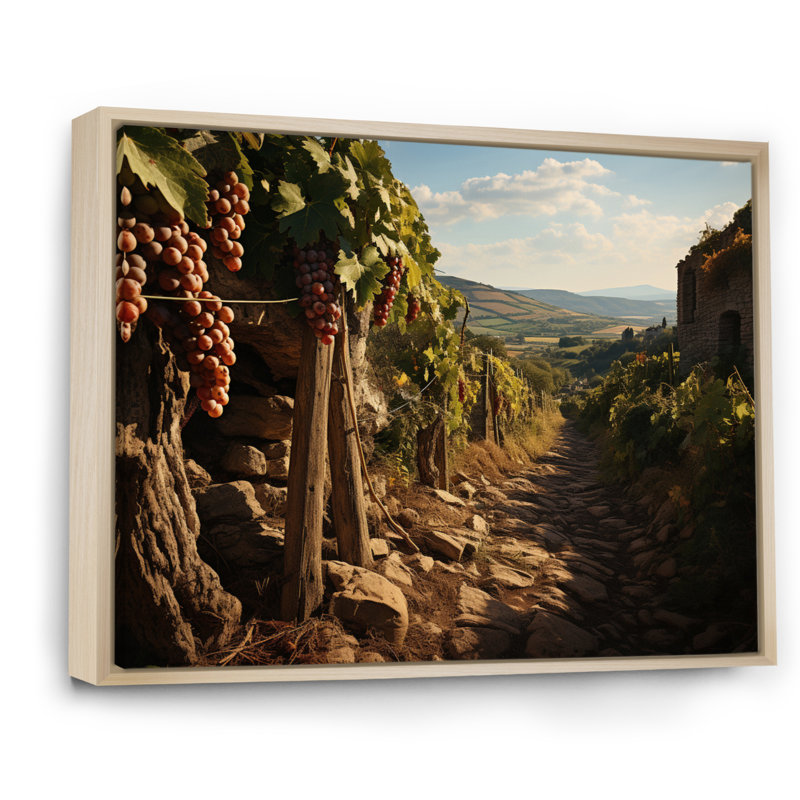 «Vineyard Hidden Gem» sur toile, Cadre naturel flottant, H 24 po x l 32 po x P 1 po