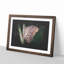 Beauty Of A Butterfly Paint Splash - Picture Frame Graphic Art-56866301-56866299