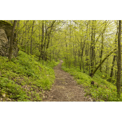 " Hiking Trail "