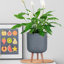 Honeycomb Style Cylinder Round Planter with Feet-379134895