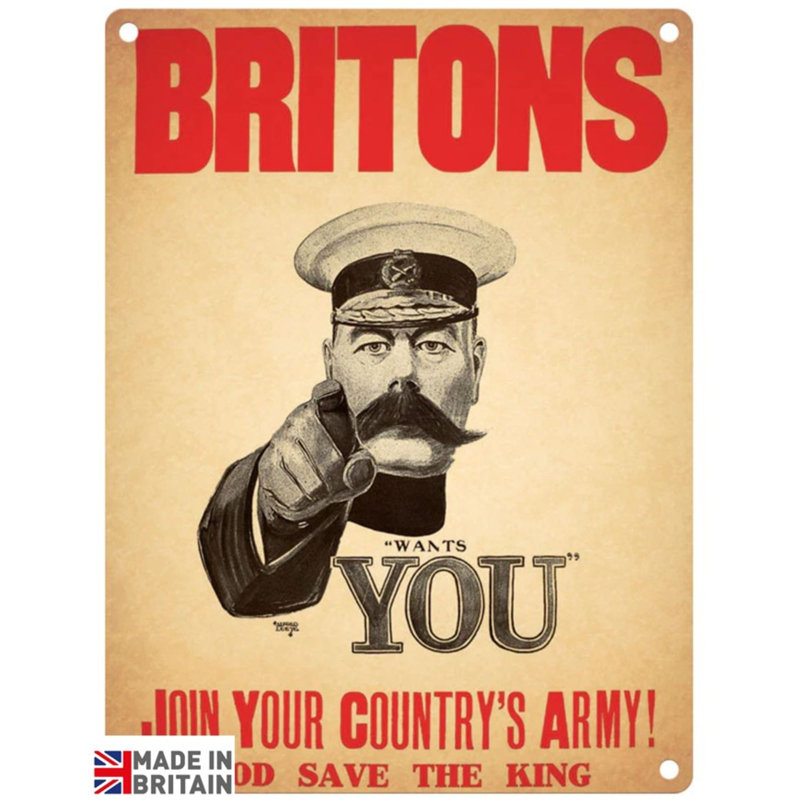 Britons Got You - No Frame Memorabilia on Metal, 45cm H x 37.5cm W x 0.225cm D