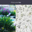 Flight Window Film 24" x 36"