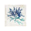 Cerulean Coral I Print by Sofia Fox-27255410-27255418