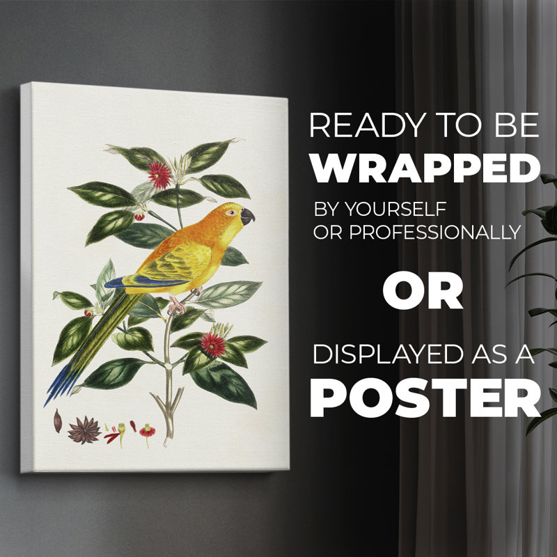 Bird in Habitat V - Impression sur toile seulement - NON-CADRE