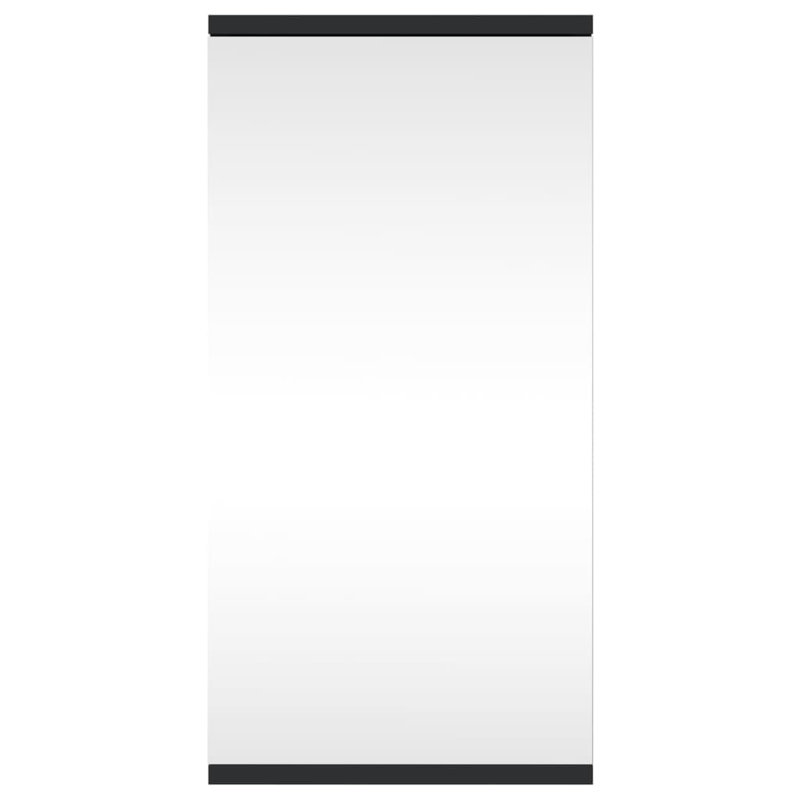 Aheed 299.97mm W 599.95mm H Wall Framed Medicine Cabinet Mirror, Black