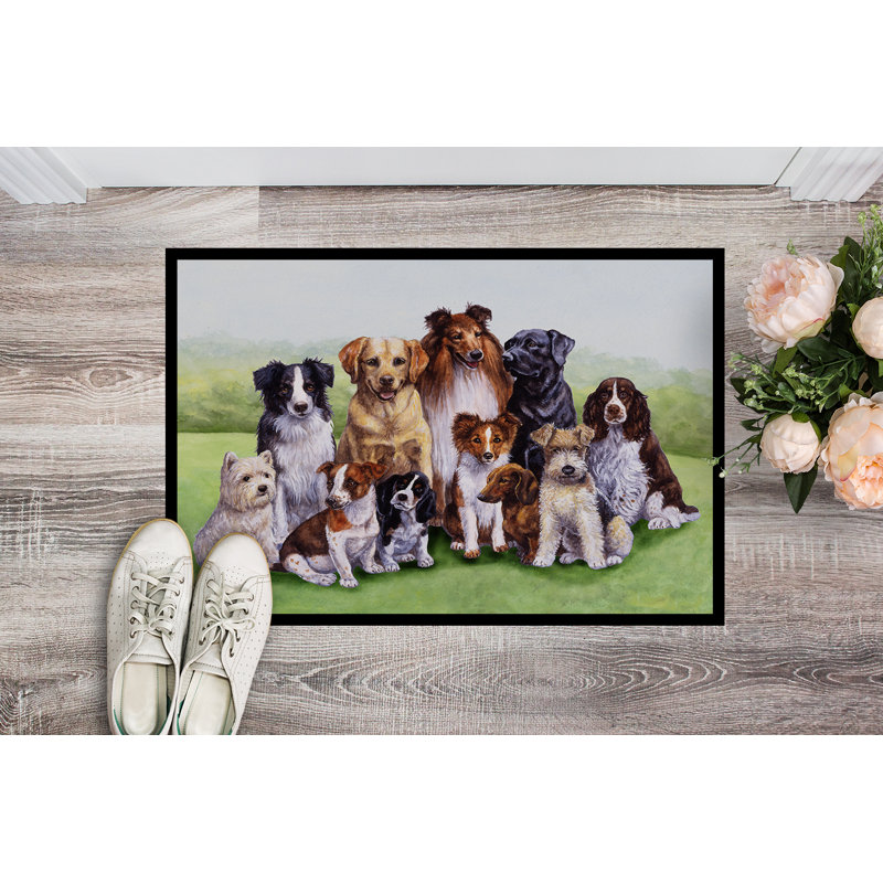 Paillasson d’extérieur antidérapant à printemps pour chiens trinway, Rectangle 1 pi 6 po x 2 pi 3 po