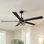 Vaczon 60" Smart Ceiling Fan with Light Kit and Remote Control, 6 Speeds Reversible DC Motor, Double-Sided Wood, Timer, 6''/10'' Downrods, for Indoor/Covered Outdoor Use