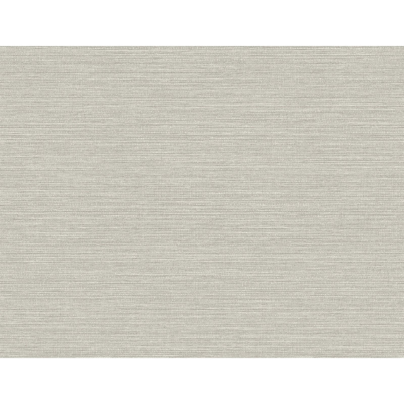 Rouleau de papier peint L 2,3 pi x l 27 po, Gris