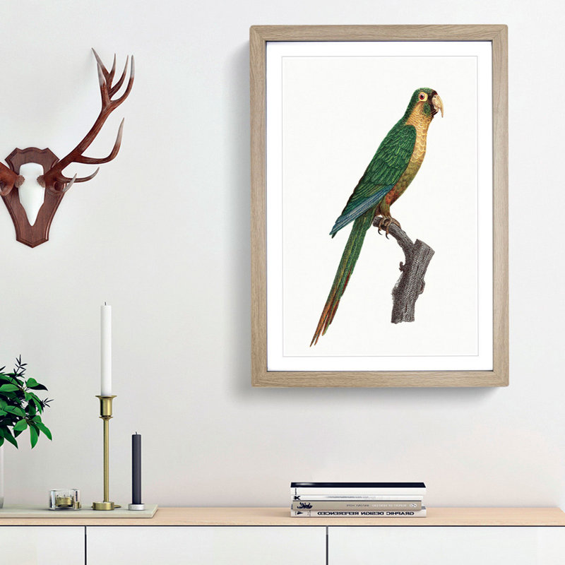 Musk Lorikeet by F. Levaillant - Picture Frame Painting Print, 48cm H x 36cm W x 2cm D, Oak Framed
