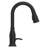 Pfister Rosslyn 1-Handle Pull-Down Kitchen Faucet-65548757