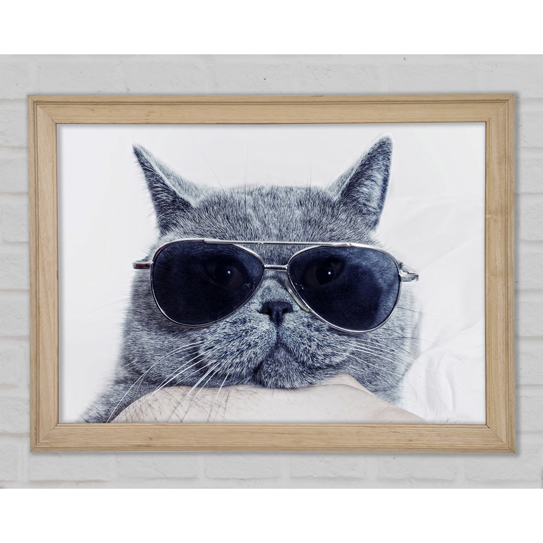 Kitty Cat Cool - Druck