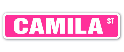 Plaque de rue Camila en plastique robuste 4 po x 18 po