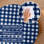 Nappe PEVA imperméable Buffalo Gingham avec envers en flanelle, repas intérieur et extérieur-131239449-131239450