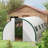 Greenhouse-96721763-98230776