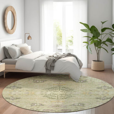 Machine Washable Indoor/Outdoor Cicel ACN1156 Aloe Rug