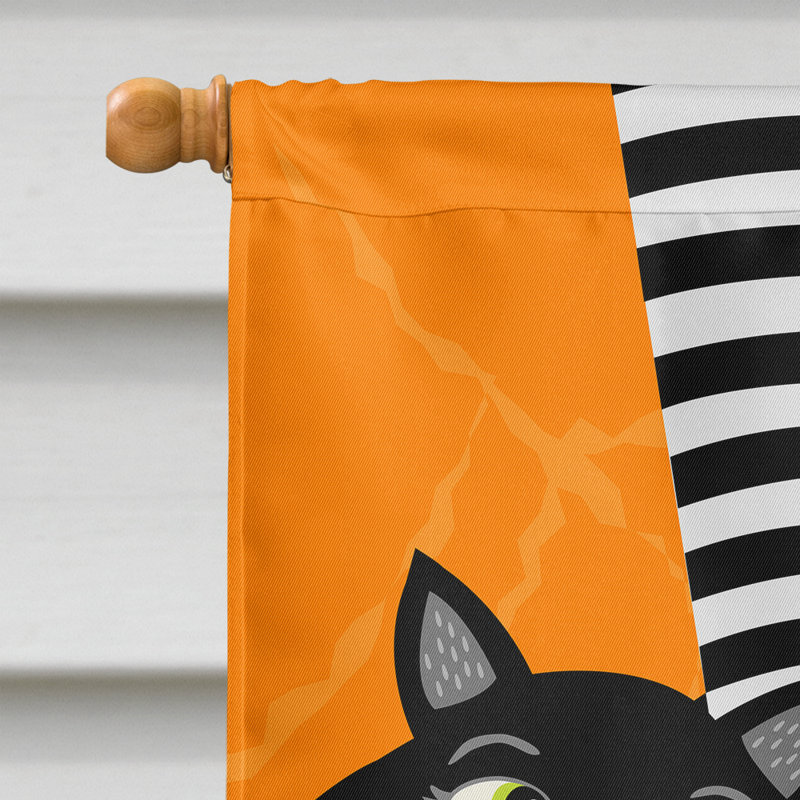 Polyester à 2 côtés 40 x 28 po drapeau maison Halloween